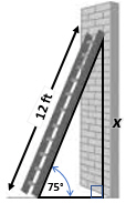 mc005-1.jpg